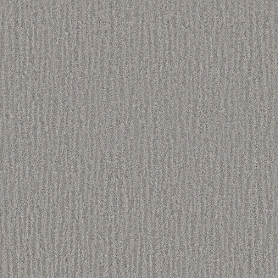NATURE WITHIN - Grey Fox 00504 NATURE WITHIN - Grey Fox 00504