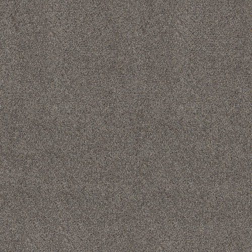 ARTISTIC FUSION I - Shadow 00502