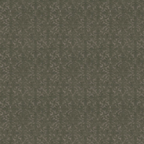 LIGHT IMPRESSIONS - Rerooted Nature 00300