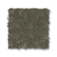 LIGHT IMPRESSIONS - Rerooted Nature 00300 LIGHT IMPRESSIONS - Rerooted Nature 00300