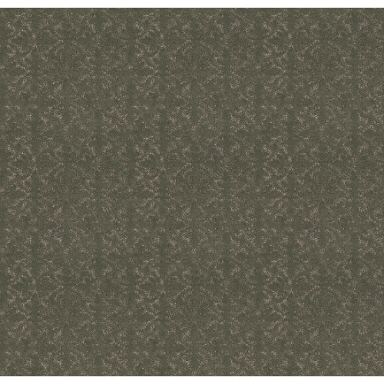 LIGHT IMPRESSIONS - Rerooted Nature 00300 LIGHT IMPRESSIONS - Rerooted Nature 00300