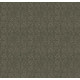 LIGHT IMPRESSIONS - Rerooted Nature 00300 LIGHT IMPRESSIONS - Rerooted Nature 00300
