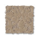 LIGHT IMPRESSIONS - Worn Path 00700 LIGHT IMPRESSIONS - Worn Path 00700