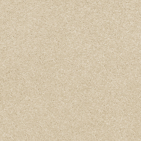 BASIC RULES - Eggshell 00102