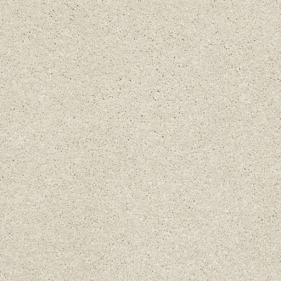 BASIC RULES - Creamery 00103