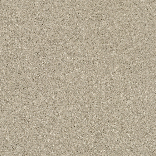 BASIC RULES - Vicuna 00111