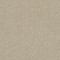 BASIC RULES - Vicuna 00111