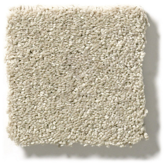 BASIC RULES - Vicuna 00111