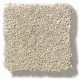 BASIC RULES - Vicuna 00111