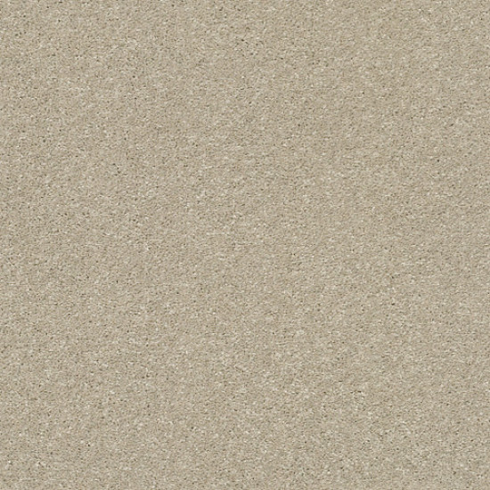 BASIC RULES - Vicuna 00111