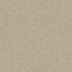 BASIC RULES - Vicuna 00111
