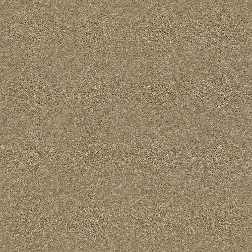 BASIC RULES - Gold Rush 00200
