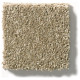 BASIC RULES - Gold Rush 00200