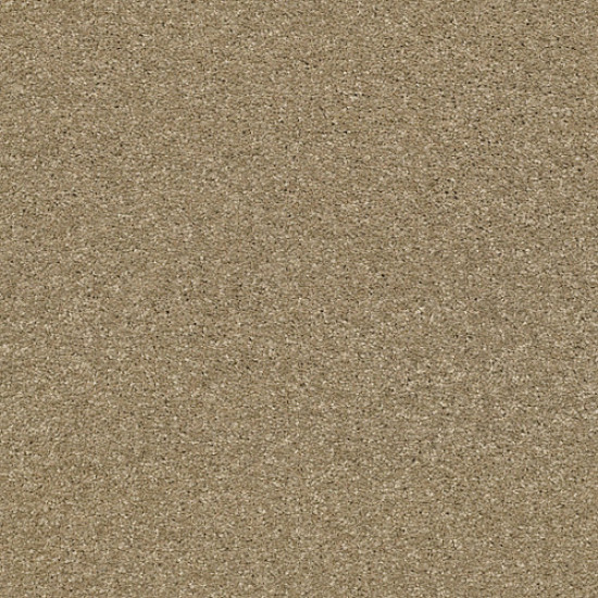 BASIC RULES - Gold Rush 00200