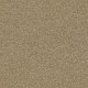 BASIC RULES - Gold Rush 00200