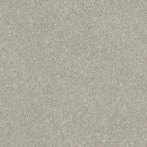 BASIC RULES - Platinum 00500