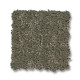 HOME WITHIN - Rerooted Nature 00300