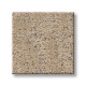 HOME WITHIN - Worn Path 00700 HOME WITHIN - Worn Path 00700