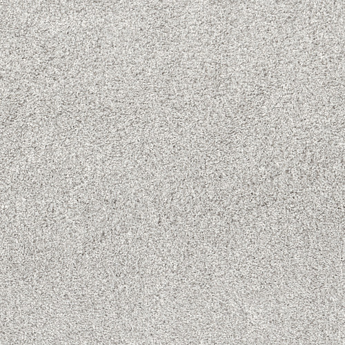 QUIET SANCTUARY - Snow Cap 00100