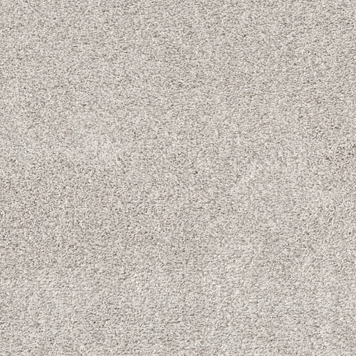 QUIET SANCTUARY - Serene Still 00101
