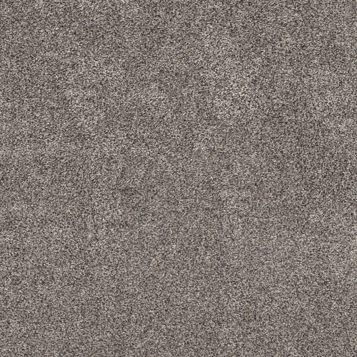 CALM SIMPLICITY II - Shoreline 00116