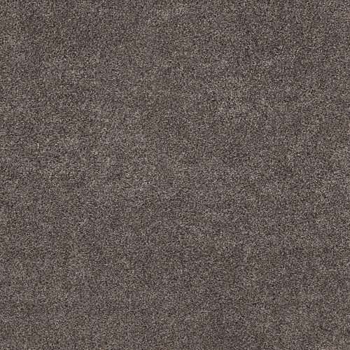 CALM SIMPLICITY II - Antelope 00714
