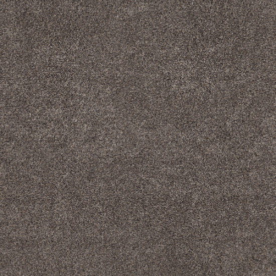 CALM SIMPLICITY II - Antelope 00714 CALM SIMPLICITY II - Antelope 00714