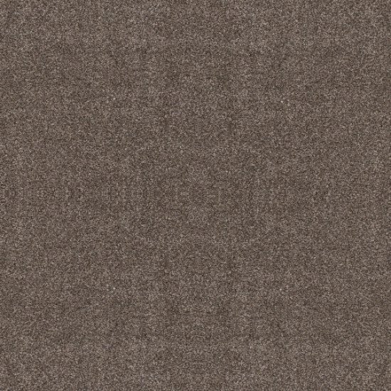 CALM SIMPLICITY II - Antelope 00714 CALM SIMPLICITY II - Antelope 00714