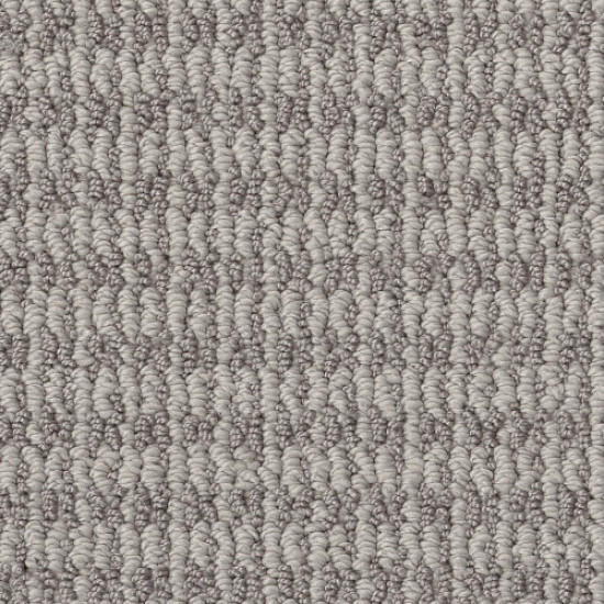 CHIC ELEVATION - Split Sediment 00104 CHIC ELEVATION - Split Sediment 00104