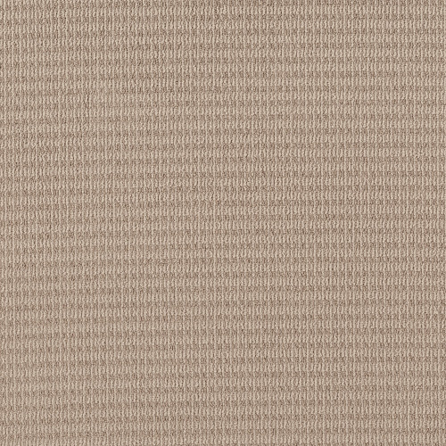 CHIC ELEVATION - Sun Kissed 00107