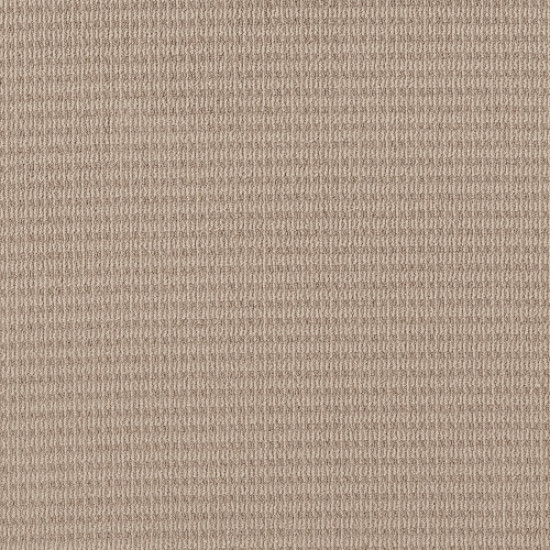 CHIC ELEVATION - Sun Kissed 00107 CHIC ELEVATION - Sun Kissed 00107