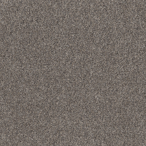 CALM SIMPLICITY I - Shoreline 00116
