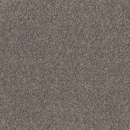 CALM SIMPLICITY I - Shoreline 00116