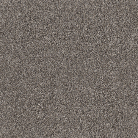 CALM SIMPLICITY I - Shoreline 00116