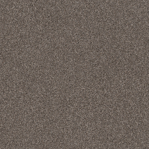 CALM SIMPLICITY I - Antelope 00714