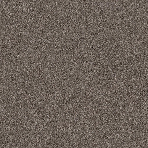 CALM SIMPLICITY I - Antelope 00714