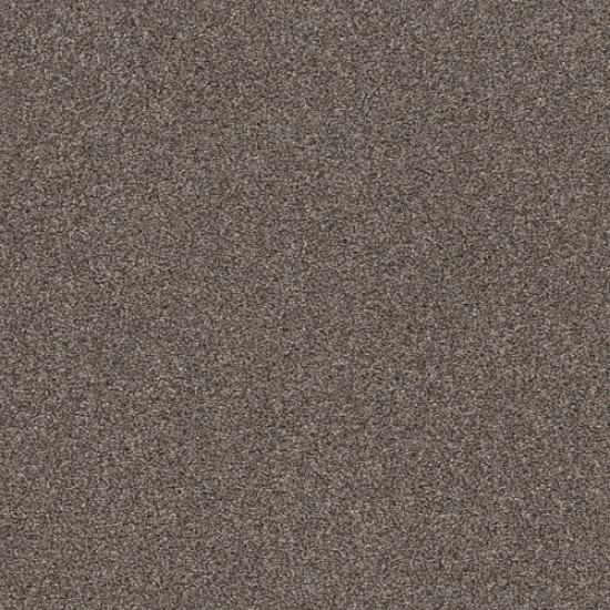 CALM SIMPLICITY I - Antelope 00714 CALM SIMPLICITY I - Antelope 00714
