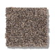 CALM SIMPLICITY I - Antelope 00714 CALM SIMPLICITY I - Antelope 00714