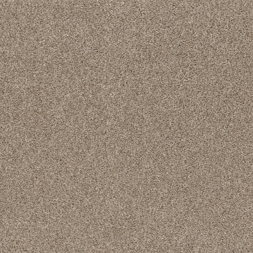 CALM SERENITY I - Beige Bisque 00110