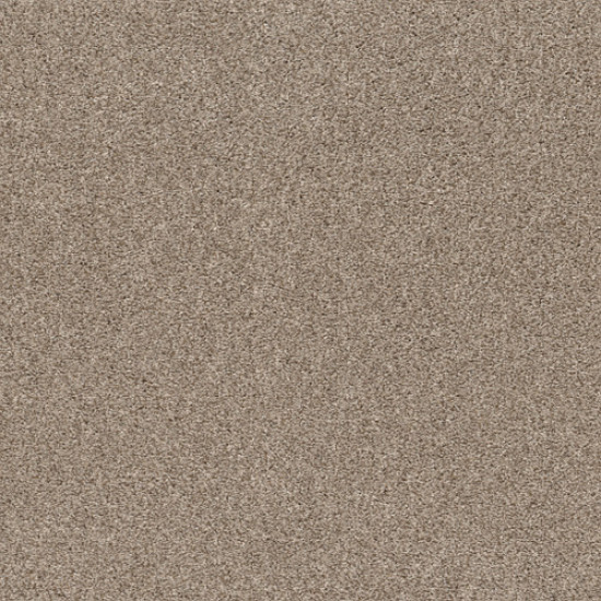 CALM SERENITY I - Beige Bisque 00110