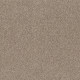 CALM SERENITY I - Beige Bisque 00110