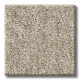 EMERGENCE - Gold Rush 00200 EMERGENCE - Gold Rush 00200