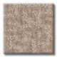 EMERGENCE - Toast 00105 EMERGENCE - Toast 00105