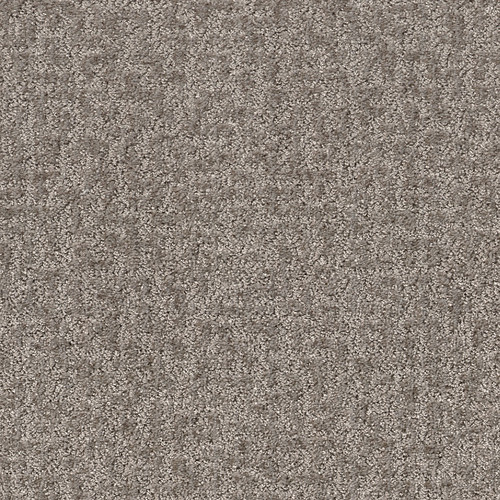 EMERGENCE - Flax 00502