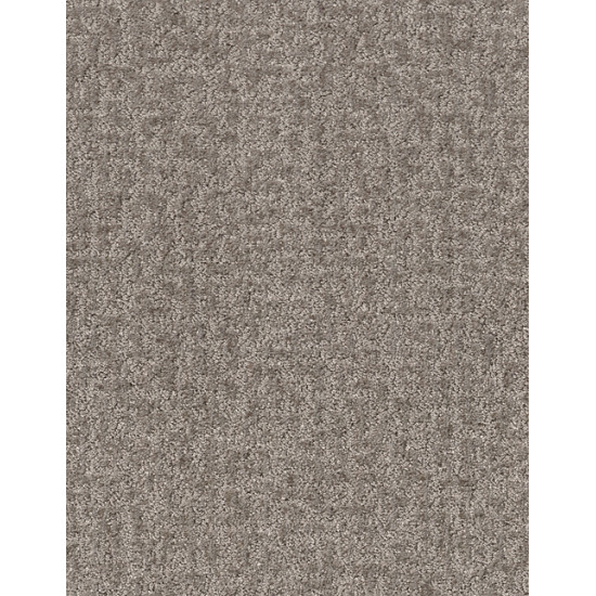 EMERGENCE - Flax 00502