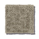 EMERGENCE - Flax 00502
