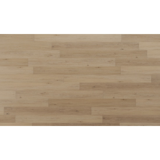 Regency Oak - Polished Platinum Regency Oak - Polished Platinum