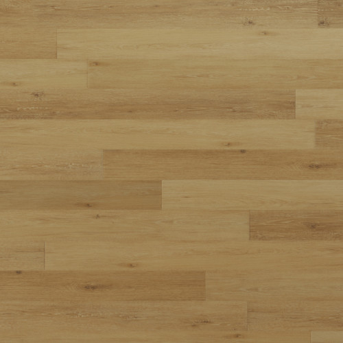 Regency Oak - Gilded Gold