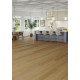 Regency Oak - Gilded Gold Regency Oak - Gilded Gold