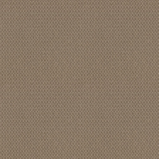 MOONDANCE - Desert Suede 00274 MOONDANCE - Desert Suede 00274